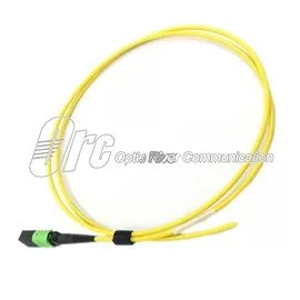 8F MPO / APC Fiber Optik Pigtail